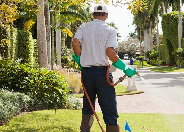 About Saint Francis MN Pest Control
